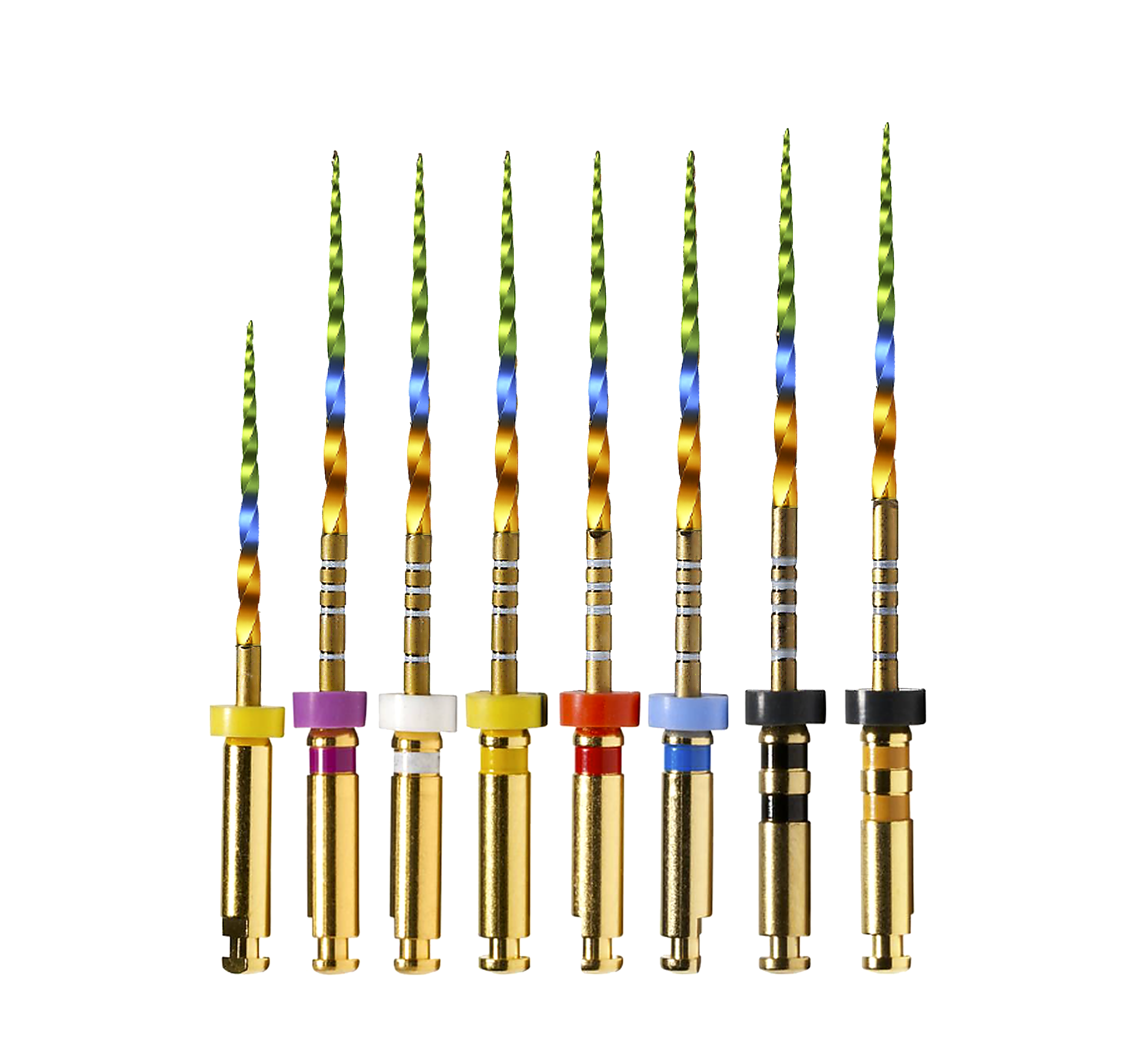 TransformX Rotary Files